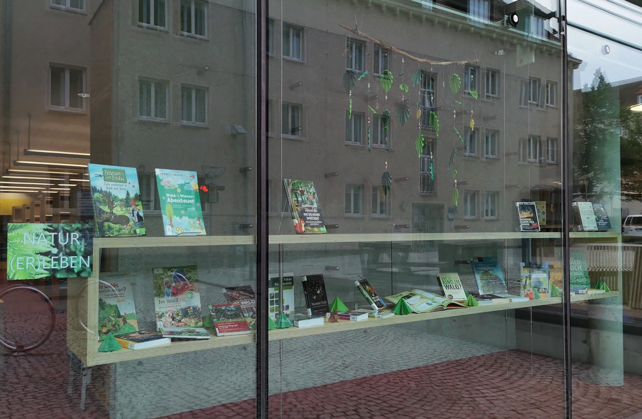 Natur, Wald & Tiere – in der Vitrine