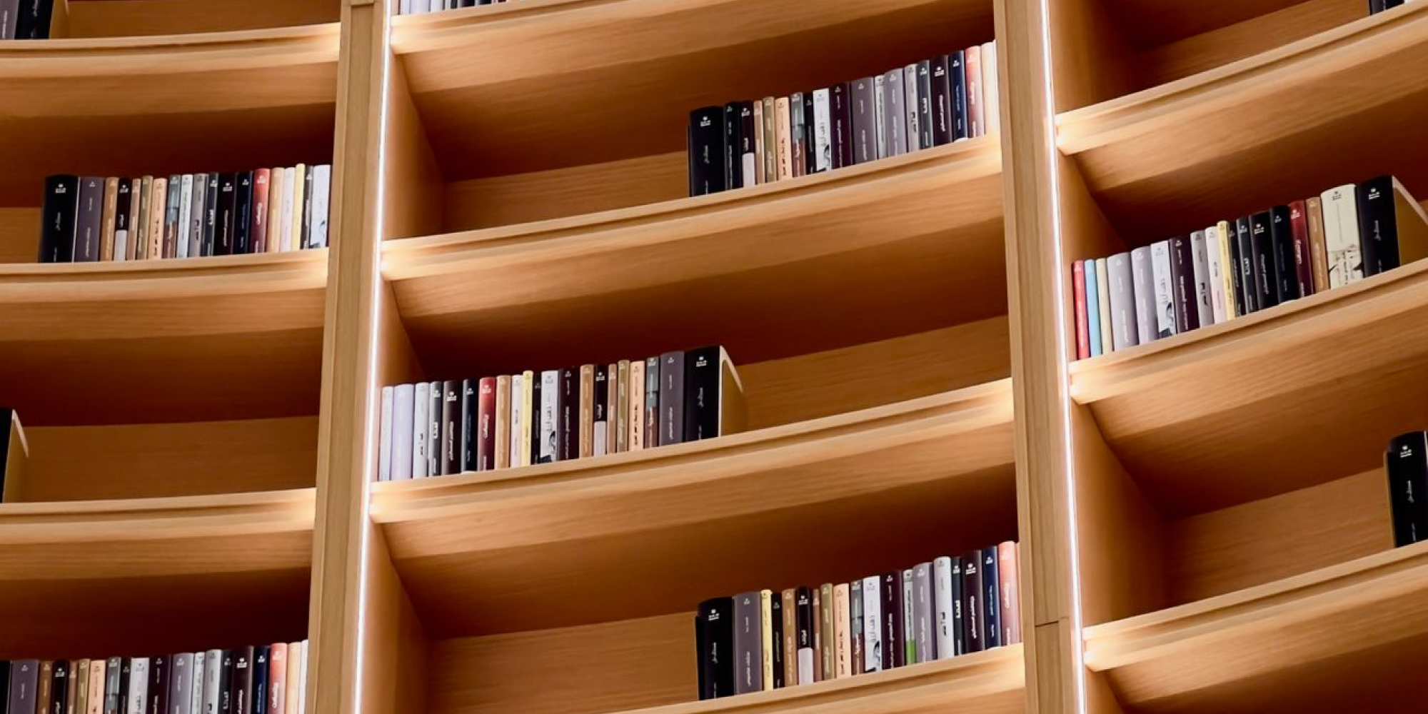 Sichtbar im Netz: Die Hochschulbibliographie in LIBDOC